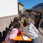 foto dell'attività