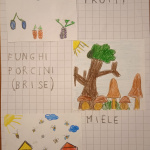 elaborato concorso