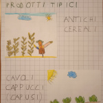 elaborato concorso