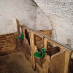 interno vecchia stalla