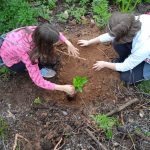 Bambini che piantano alberi