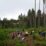 Bambini che piantano alberi