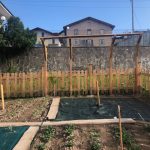 orto terminato