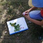 composizione con foglie