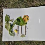 composizione con foglie