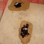 "Bombe" di facelia