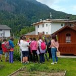 visita all'apicoltura