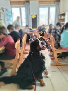 Marley in classe