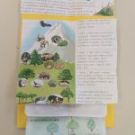 flora e fauna, template aperti