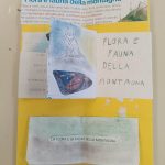 flora e fauna, template chiusi