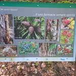 cartellone nel bosco