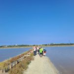 le saline