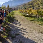 tracciato