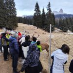 Val Venegia