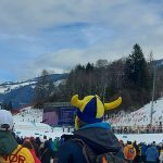 tifosi