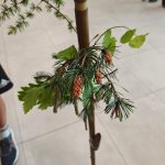 assemblaggio bastone