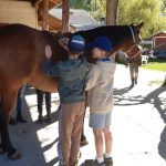 equitazione