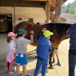 equitazione