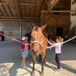 equitazione