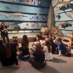 Museo scienze naturali