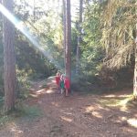nel bosco